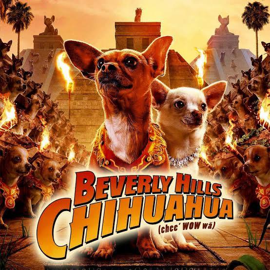 Beverly Hills Chihuahua